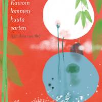 Kaivoin lammen kuuta varten