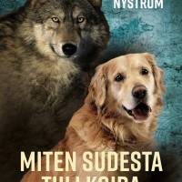 Miten sudesta tuli koira