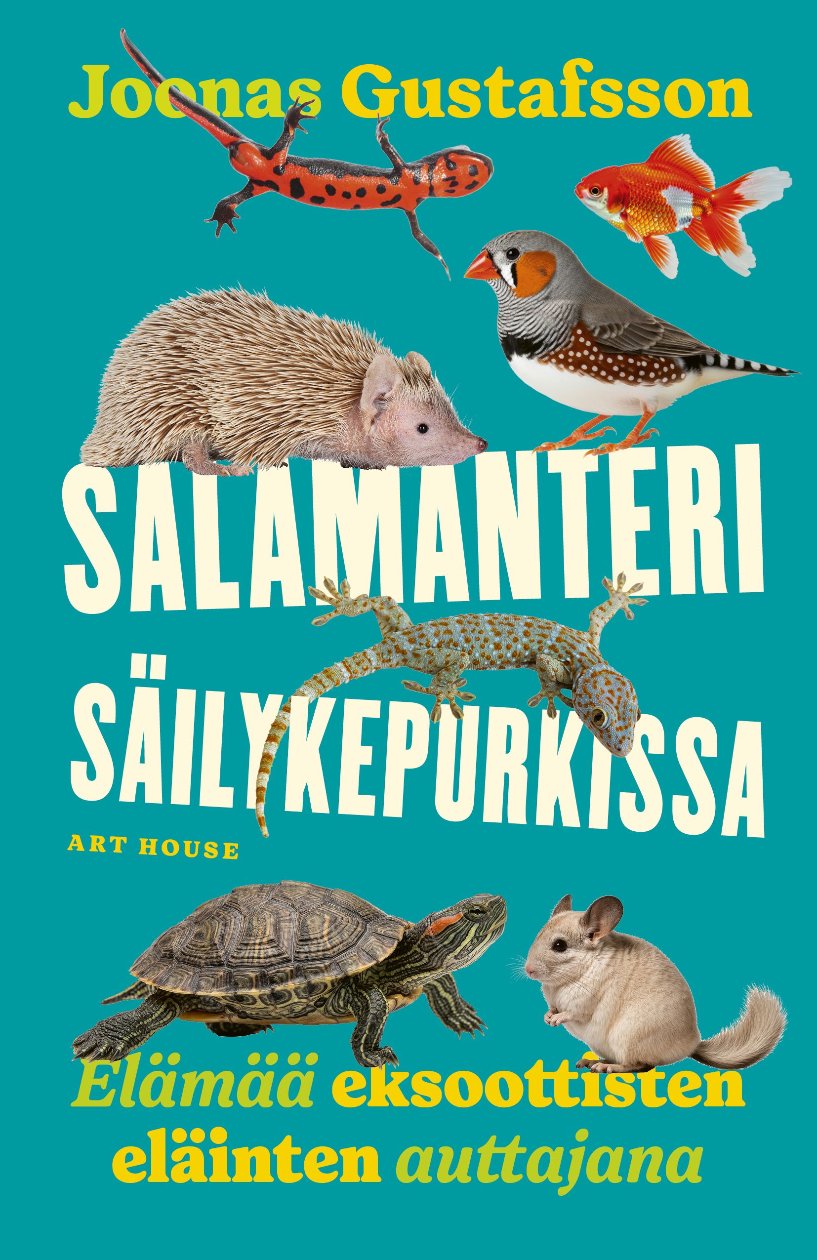 Siirry tuotesivulle Salamanteri säilykepurkissa